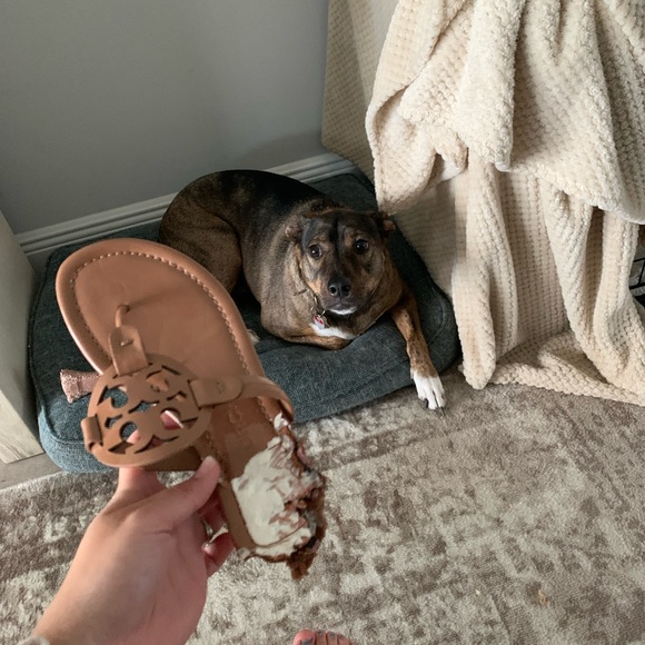 ISO Right Tory Burch Patent Leather Miller Sandal - Picture 4 of 4